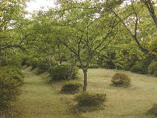 東山道中の公園